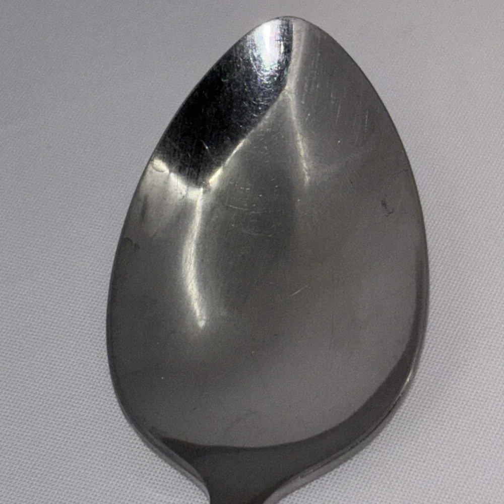 Wm A Rogers Oneida Malibu Single Serving Spoon Stainless Flatware Flowers 8 3/4